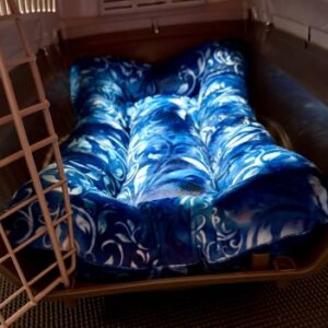 Blue and White Carrier Pad