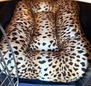 Leopard Print Carrier Pad, Small