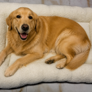 Large Dog Bed - Sherpa & Gray with Dog Bones & More